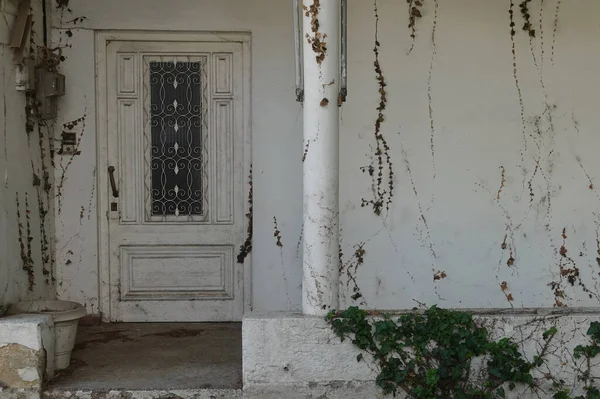 Antiga Casa Abandonada Varanda Porta Vintage Parede Suja Com Planta — Fotografia de Stock