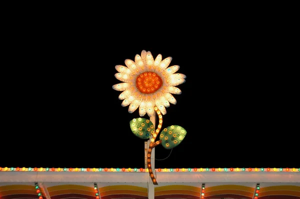 Blikající světla elektrický květina Stock Fotografie