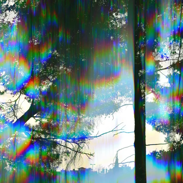 棱镜树抽象风景 — 图库照片