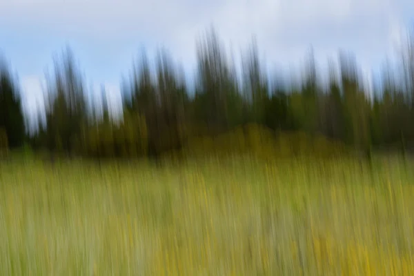 Våren landskap — Stockfoto