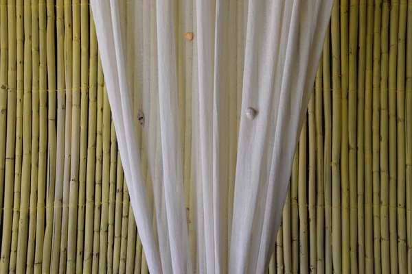 Conchas cortina — Fotografia de Stock