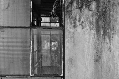 kırık camlar ve küflü duvar