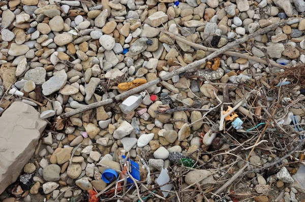 Plastik ve taş sahilde dalgaların karaya attığı odun — Stok fotoğraf