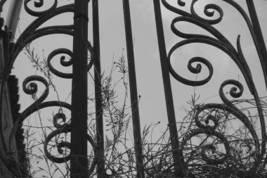 Çiçek desenli klasik balkon korkulukları ve paslı metal şekillere dolanmış solmuş bitkiler..