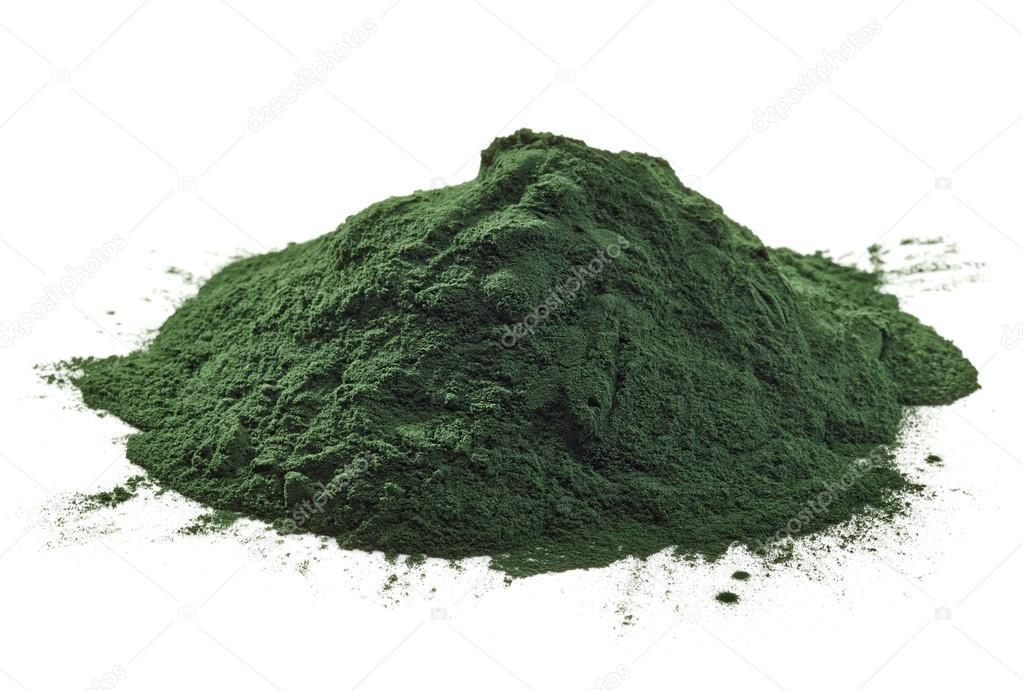 Spirulina algae powder