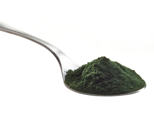 Spirulina 조류 분말 — 스톡 사진