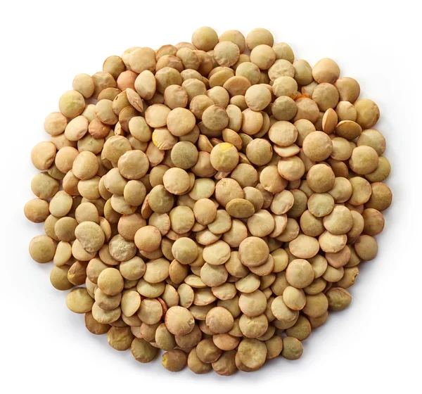 Canadian lentils — Stock Photo, Image