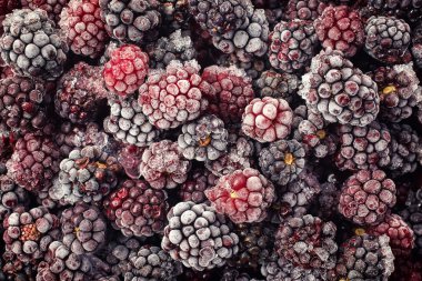 dondurulmuş böğürtlen