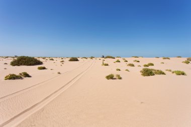 Batı Sahara ülkesindeki Sahra Çölü