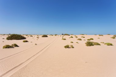 Sahara desert in Western Sahara clipart
