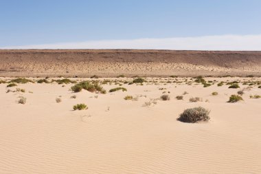 Sahara desert in Western Sahara clipart