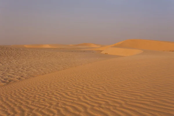 The Sahara desert — Stock Photo, Image