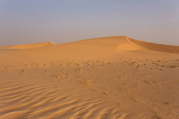 Na Saharze — Zdjęcie stockowe