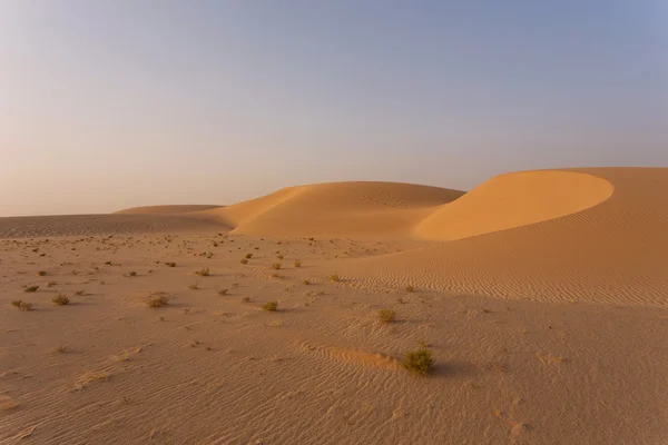 Poušť sahara — Stock fotografie