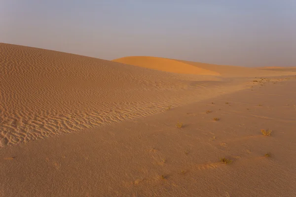 The Sahara desert — Stock Photo, Image