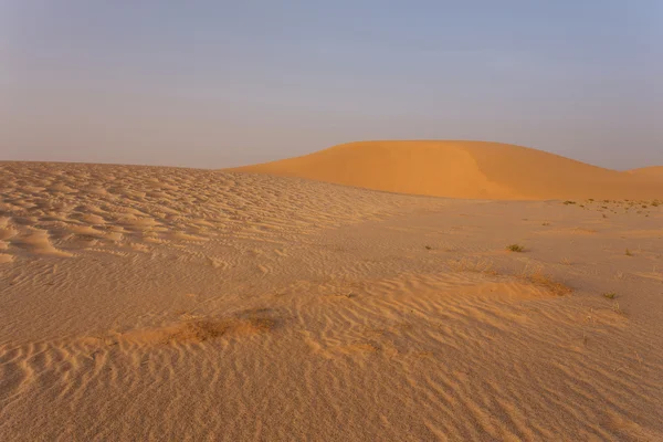Saharaöknen — Stockfoto