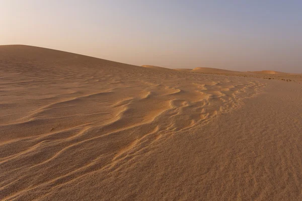 Die Sahara-Wüste — Stockfoto