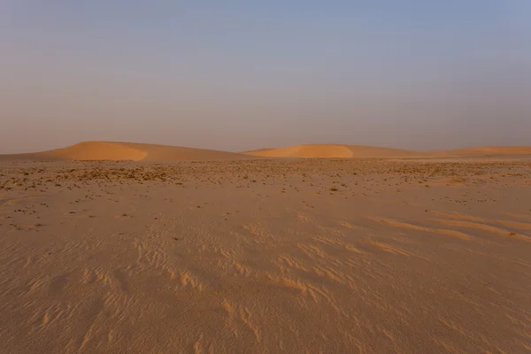 Poušť sahara — Stock fotografie