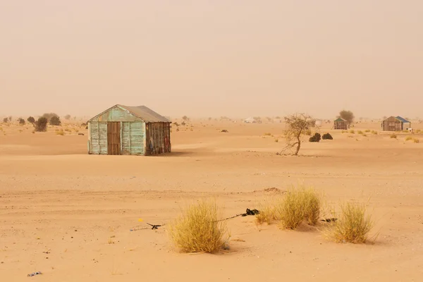 Geïmproviseerde huisje in Mauritanië Stockfoto
