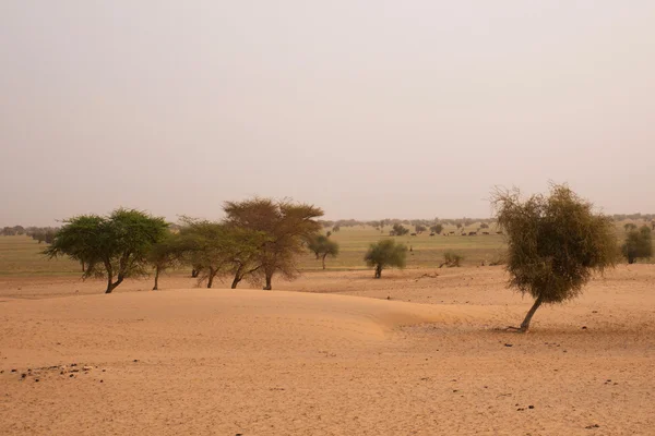 Uma paisagem mauritana Imagens De Bancos De Imagens