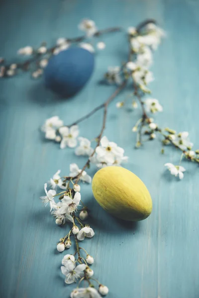 Påskägg och våren blossom — Stockfoto