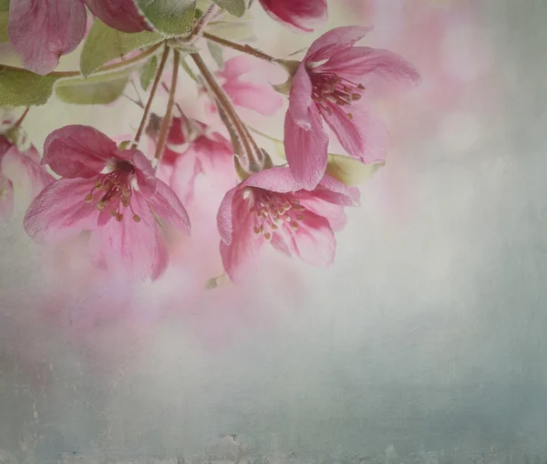 Frühlingsblüte mit künstlerischer Textur — Stockfoto