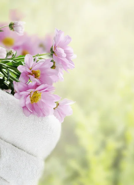 Toalhas limpas e flores rosa — Fotografia de Stock
