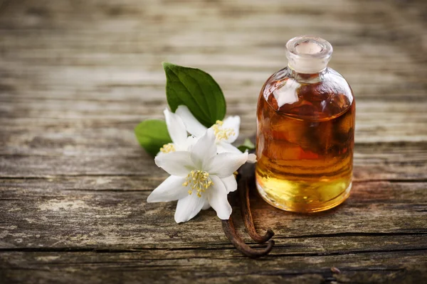 Olio essenziale e fiore di gelsomino — Foto Stock