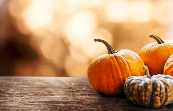 Calabazas Otoño Bodegón Sobre Mesa Madera Vintage Fondo Bokeh Diseño — Foto de Stock