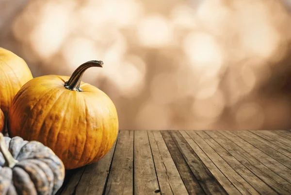 Calabazas Otoño Bodegón Sobre Mesa Madera Vintage Fondo Bokeh Diseño — Foto de Stock