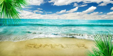 Kumlu sahil, palmiye ağacı ve mavi denizi olan tropik ada tatil beldesinde cennet tatili. Deniz kıyısı manzarası. Yaz tatili afişi arka planı.