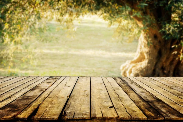 用天然绿色橄榄F作产品陈列用的旧木制桌子 — 图库照片