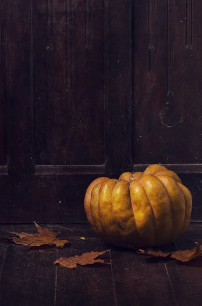 Pumpkin — Stock Photo, Image