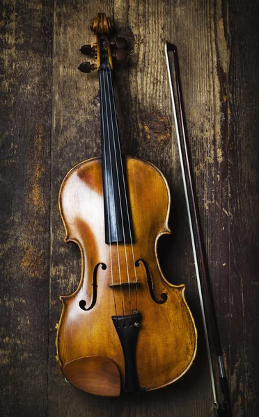 Viola — Stock Photo, Image