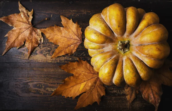 Pumpkin — Stock Photo, Image