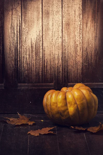 Pumpkin — Stock Photo, Image