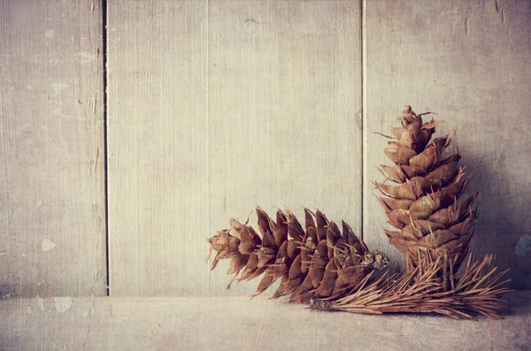 Pine cones — Stock Photo, Image