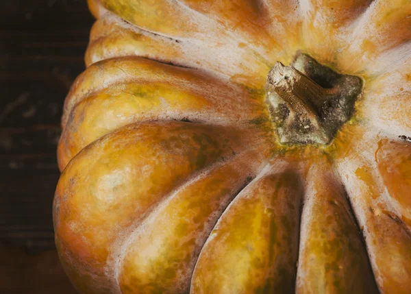 Pumpkin — Stock Photo, Image