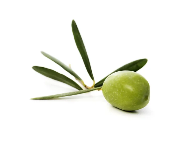 Aceituna — Foto de Stock