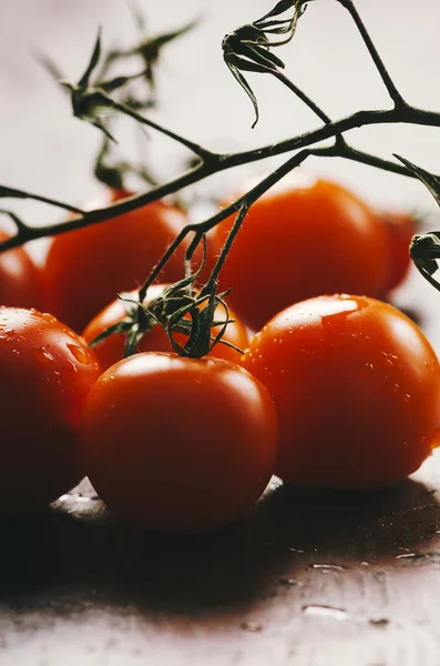 Primer plano del tomate cereza —  Fotos de Stock