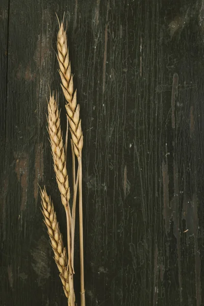 Wheat Ears on wooden background — Stock Photo, Image