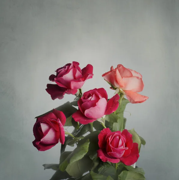 Röda rosor bukett — Stockfoto