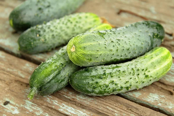 Vers geplukt komkommers — Stockfoto