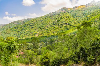Vietnam'da bir dağ yamacında