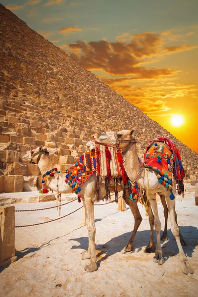 Pyramids of the pharaohs in Giza — Stock Photo, Image