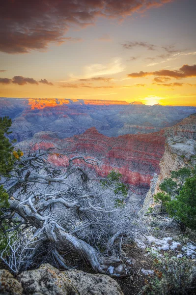 Grand Canyon Nemzeti Park — Stock Fotó