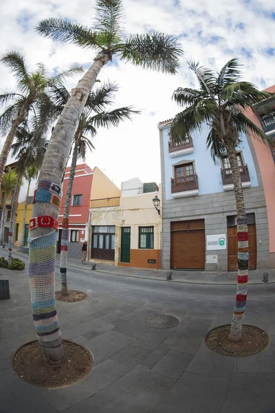 Puerto de la Cruz. Stockbild