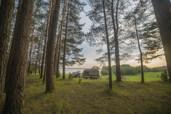 Campista Floresta Junto Lago Viagem Fim Semana — Fotografia de Stock