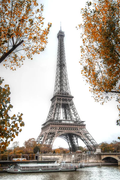 파리를 창. — 스톡 사진