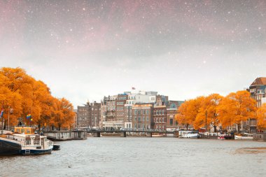 Amsterdam sonbahar gece